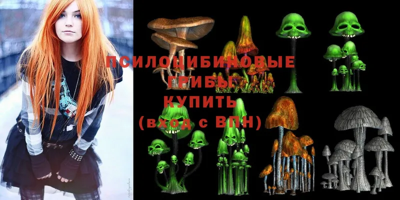 Галлюциногенные грибы MAGIC MUSHROOMS  хочу наркоту  Саров 